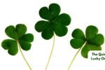 Luck